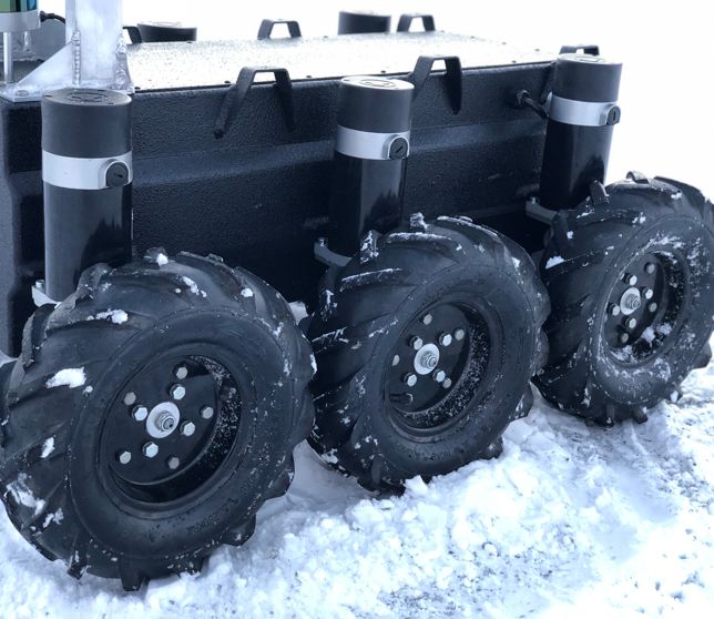 nanuk in the snow